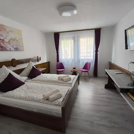 Guest house Haus Benico -pension- Ernst