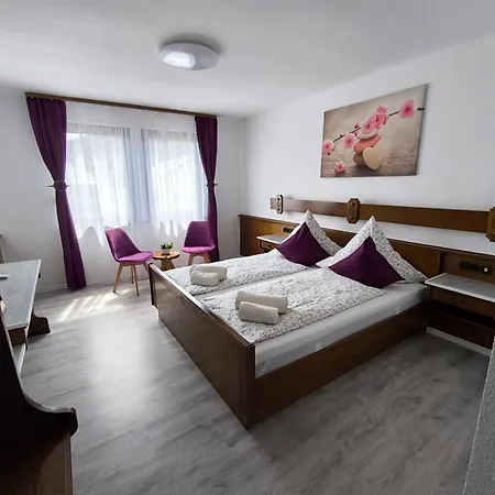 Haus Benico -pension- 3* エルンスト