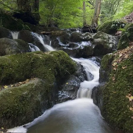 Haus Benico -pension- 게스트하우스