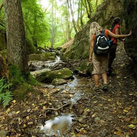 Haus Benico -pension- 게스트하우스 3*