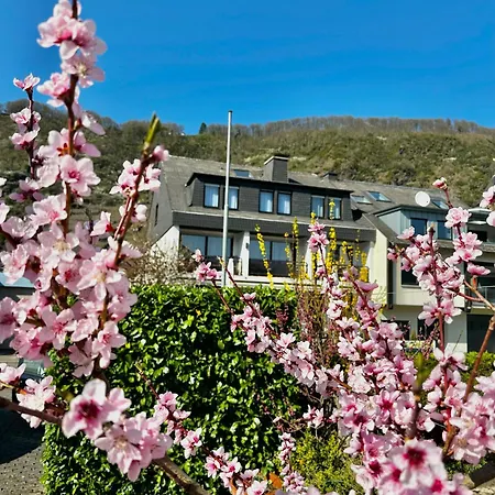 Πανσιόν Haus Benico -pension- Ernst