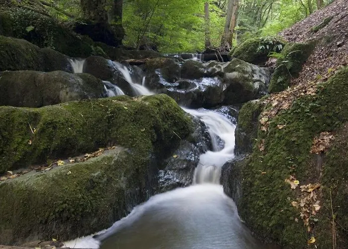 Haus Benico -pension- Maison d'hôtes