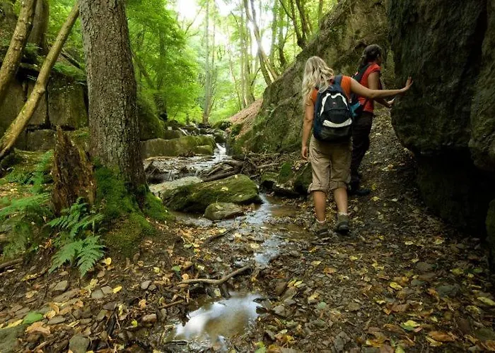 Haus Benico -pension- Maison d'hôtes 3*