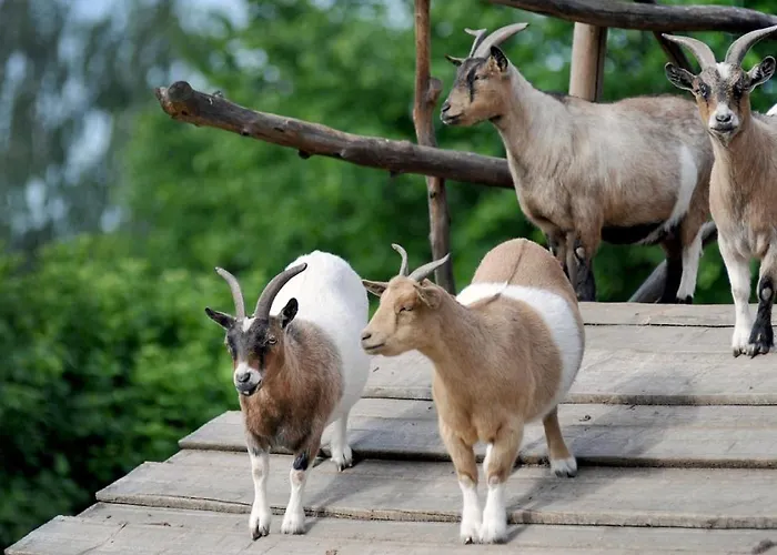 Haus Benico -pension- Ernst