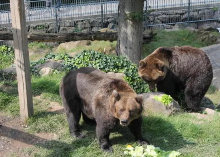 Haus Benico -pension-